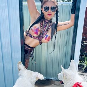 Henry & Diamond, white German Shepherds, made in USA, NOT FOR SALE🤣!